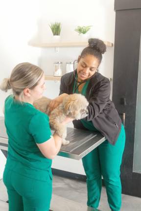 Heart + Paw to open animal hospital in Lake Hopatcong