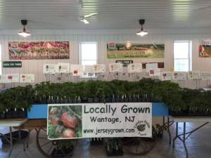 Catalpa Ridge Farm's 16th Annual Heirloom Tomato &amp; Veggie Plant Sale