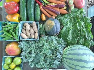 Milford Farm Market offers fresh produce, spirits, and much more