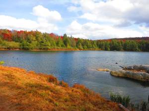 Hemlock Pond, Sussex County, N.J., Delaware Water Gap National Recreation Area (Photo by Pamela Chergotis)