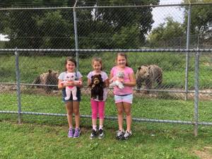 Andie, Adalyn and Sophia compare bruins at Space Farms Zoo.