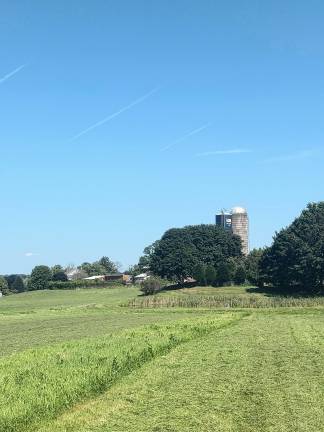 Wantage woman represents farmers