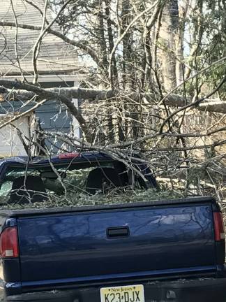 Another downed tree crushes a pickup