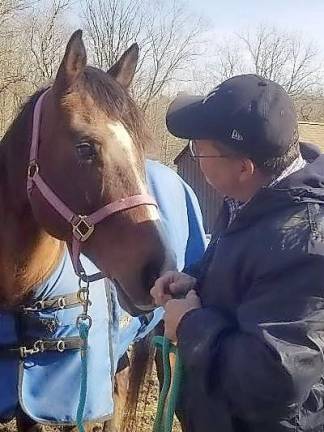 Dr. Brasch pays a visit to a horse in Warwick.