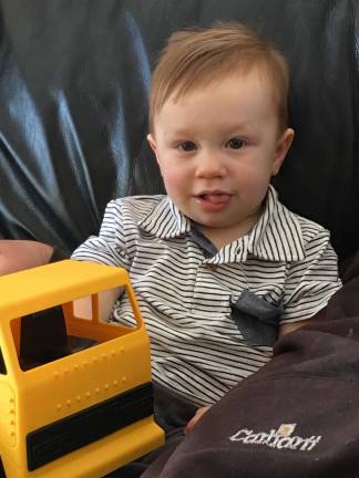 Hammy and his crew can take care of things for you!