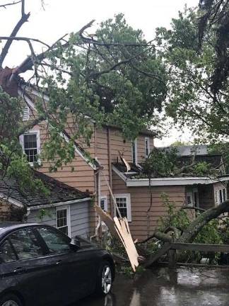 Trees crashed upon a house on Mohawk Avenue