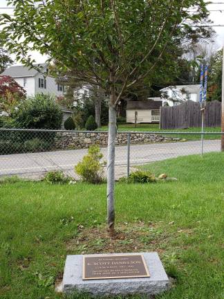 Appreciative of tree dedication