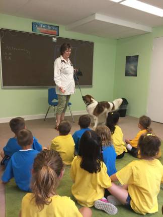 Dr. Parker of Andover Animal Hospital teaches the correct way to approach an unfamiliar dog