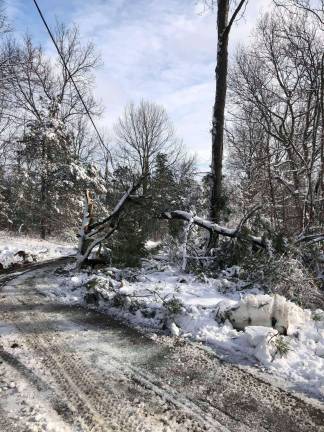 Trying to make a driveway passable again