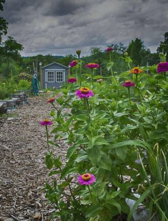 Sparta residents are eligible to sign up to garden either vegetables and/or flowers on a first come-first served basis.