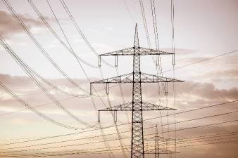 Raccoon blamed for power outage