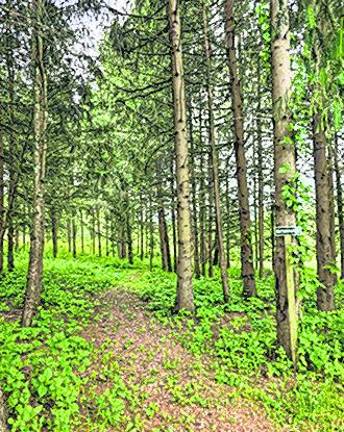 Historical society plans open house