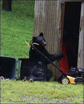 Just checkin' it out