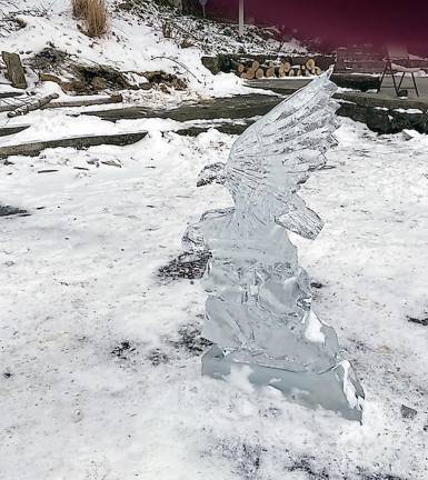 Frozen beauty