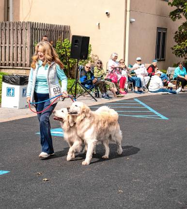 Sue Russo with Leo and Badger.