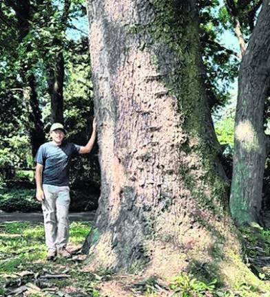 Forrest Jennings stands next to the tree.