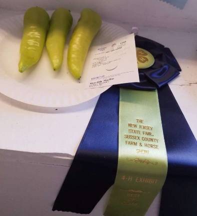 The prize-winning peppers of Summer Blossoms 4-H'er Meredith MacRae are on display in the Shotwell 4-H building.