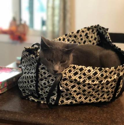A bag of Tito. Photo submitted by Nicole Petrock