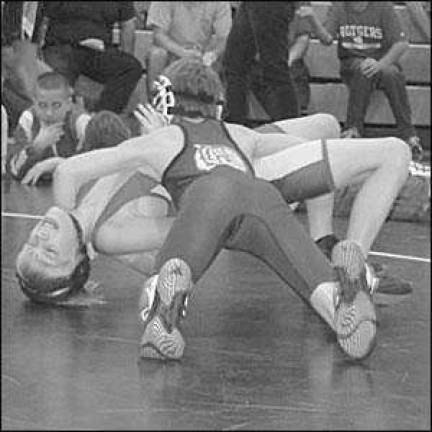 Lenape Valley takes third in Dover wrestling tournament