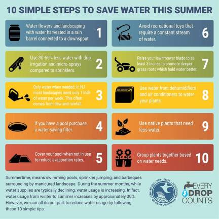 Tips for saving water this summer.