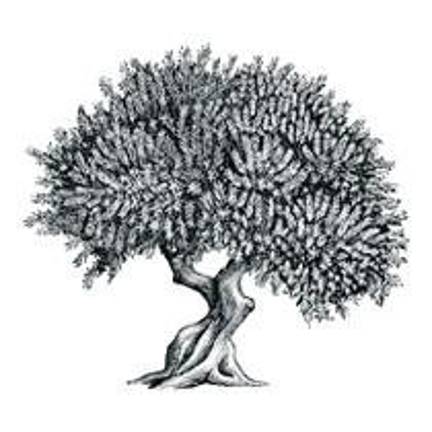 250th The Olive Tree