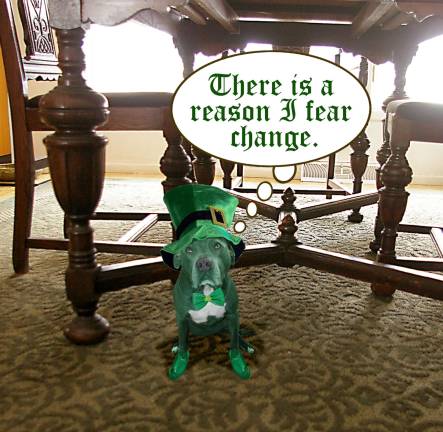 Our puppy on Saint Patrick's Day