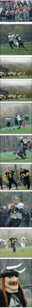 Vikings roll on