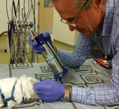 Cryosurgery at Sussex County Animal Hospital