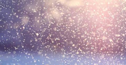 UPDATED: Schools courts closed today UPDATED: Schools courts closed today