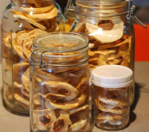 Dried apple rings in preparation for September
