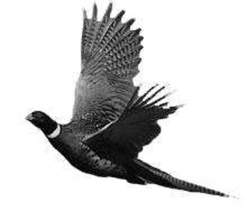 <h3>Small enough to fail?</h3>