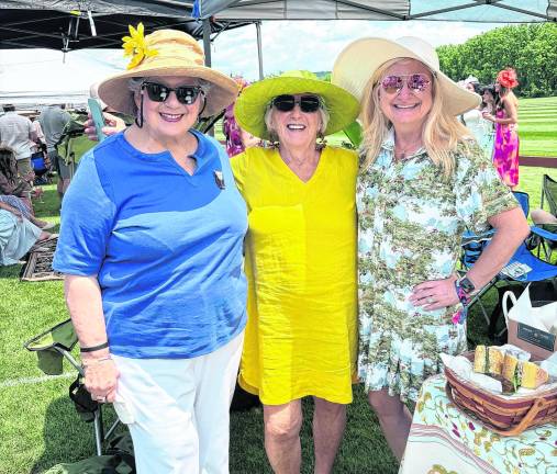 NJ Polo will host a match at the Grayfields Polo Club to raise funds for Project Self-Sufficiency.