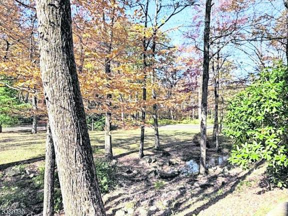 Charming energy makes bi-level a star