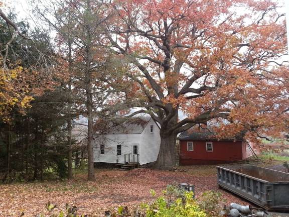 The milk parlor and tool barn on the property on the Van Kirk House.