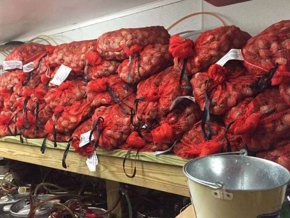 Clams, clams, clams!