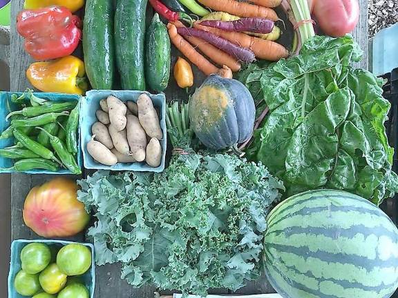 Milford Farm Market offers fresh produce, spirits, and much more
