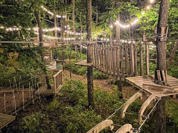 TreEscape offers immersive three-hour night climbs.