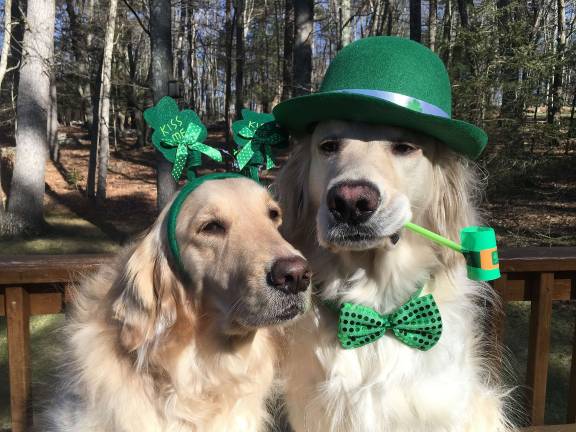Bailey &amp; Duncan. These are probably not the "kids" you were asking for....but they are my kids. My fur kids! Bailey &amp; Duncan get dressed up for every holiday :) Photo courtesy of Divis.