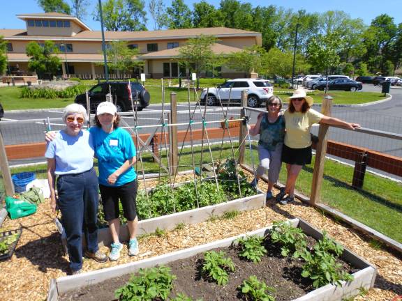 Volunteers needed for community garden