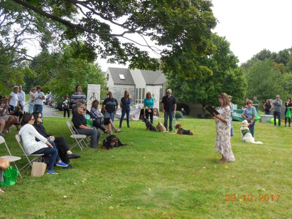 Abbey glen pet cremation clearance
