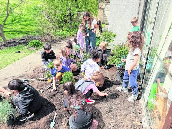 Kindergarten students at Hilltop Country Day School plant the season’s first vegetables in the school’s sustainable garden, a rarity in Northern New Jersey, where few schools maintain learning gardens.