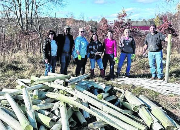 Volunteer event will remove tree tubes at Memory Park floodplain site