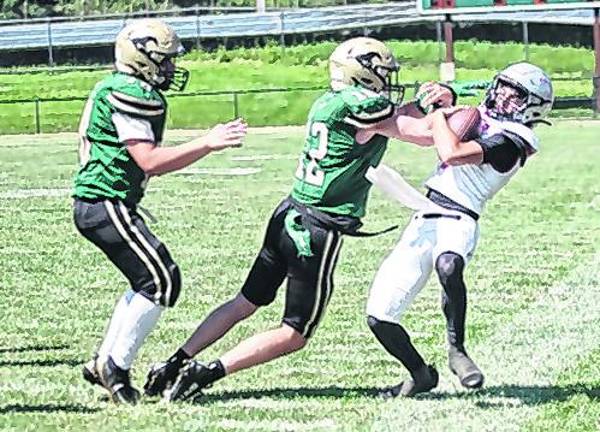 Sussex Tech defender Mason Aumick (12) forces Parsippany quarterback Mason Alameda out of bounds in the third quarter.