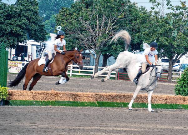 <b>The horse show at the New Jersey State Fair-Sussex County Farm &amp; Horse Show on Tuesday, Aug. 5. (Photo by Nancy Madacsi)</b>