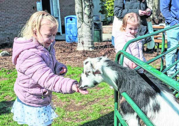 Emma Devine, 5, feeds a goat.