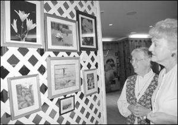 Highland Lakes Art Show