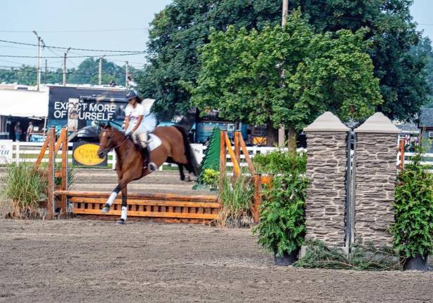 Fine weather boosts fair attendance