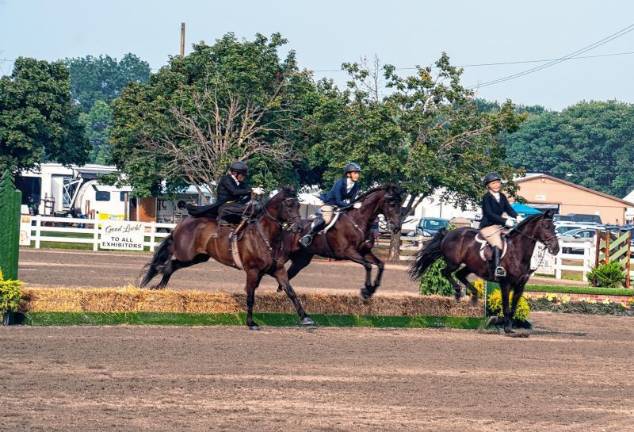<b>There is a new pavilion for box seats at the horse show arena. A committee continues to raise money to build permanent platforms for seating. (Photo by Nancy Madacsi)</b>