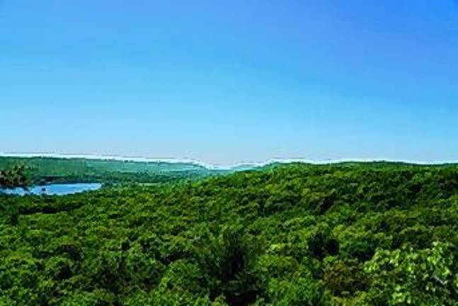 <b>Scenic view of Allamuchy Mountain State Park.</b>