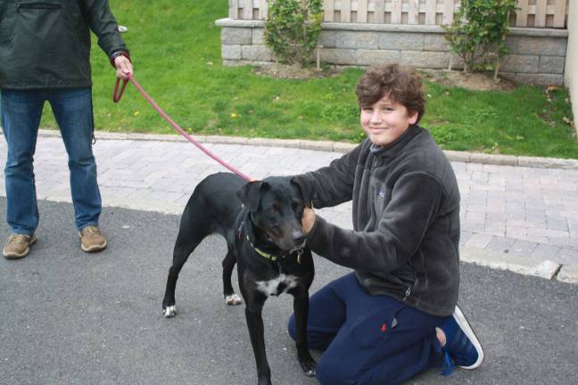 OSCAR animal rescue offered pets for adoption. Michael Rocco O’Krepky says hello to Capricorn, a lab and shepherd mix.